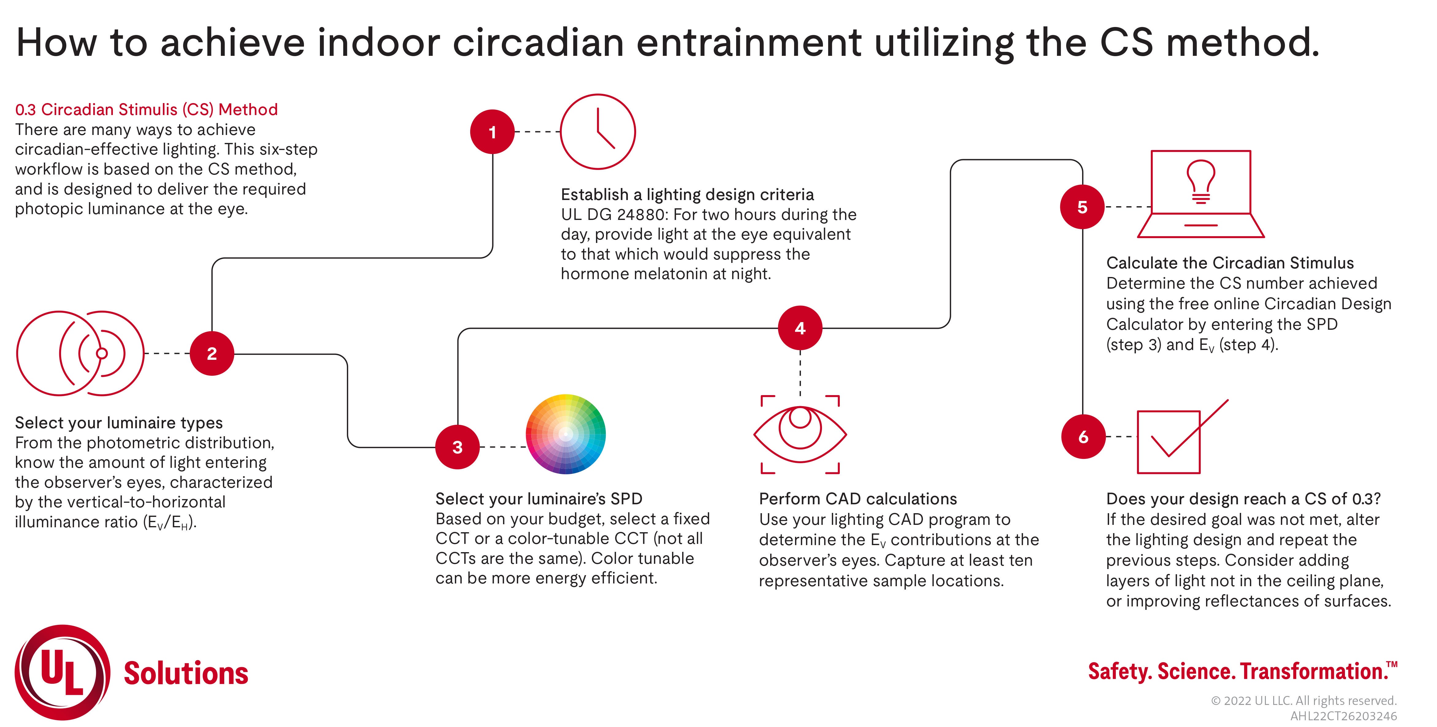 Infographic of circadian entrainment