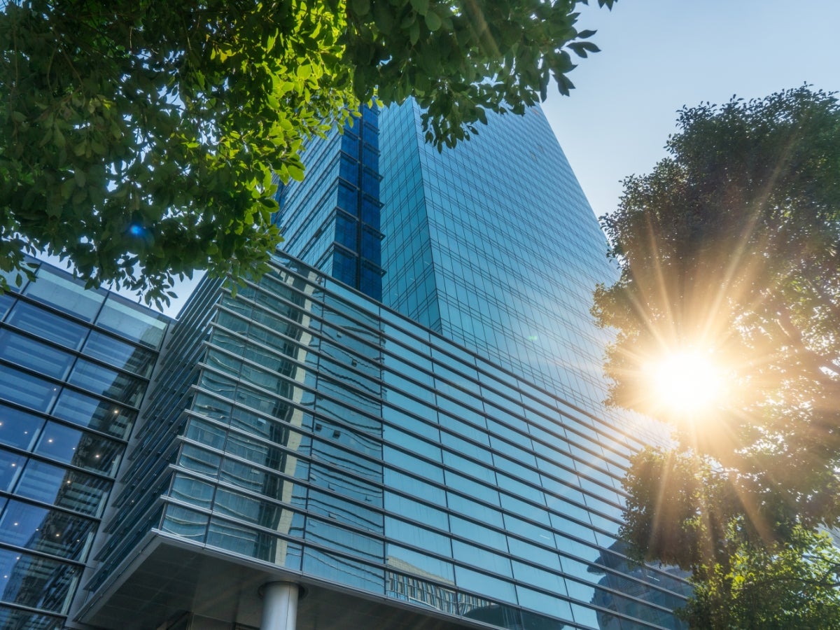 Sunshine shining through trees that surround a glass office building