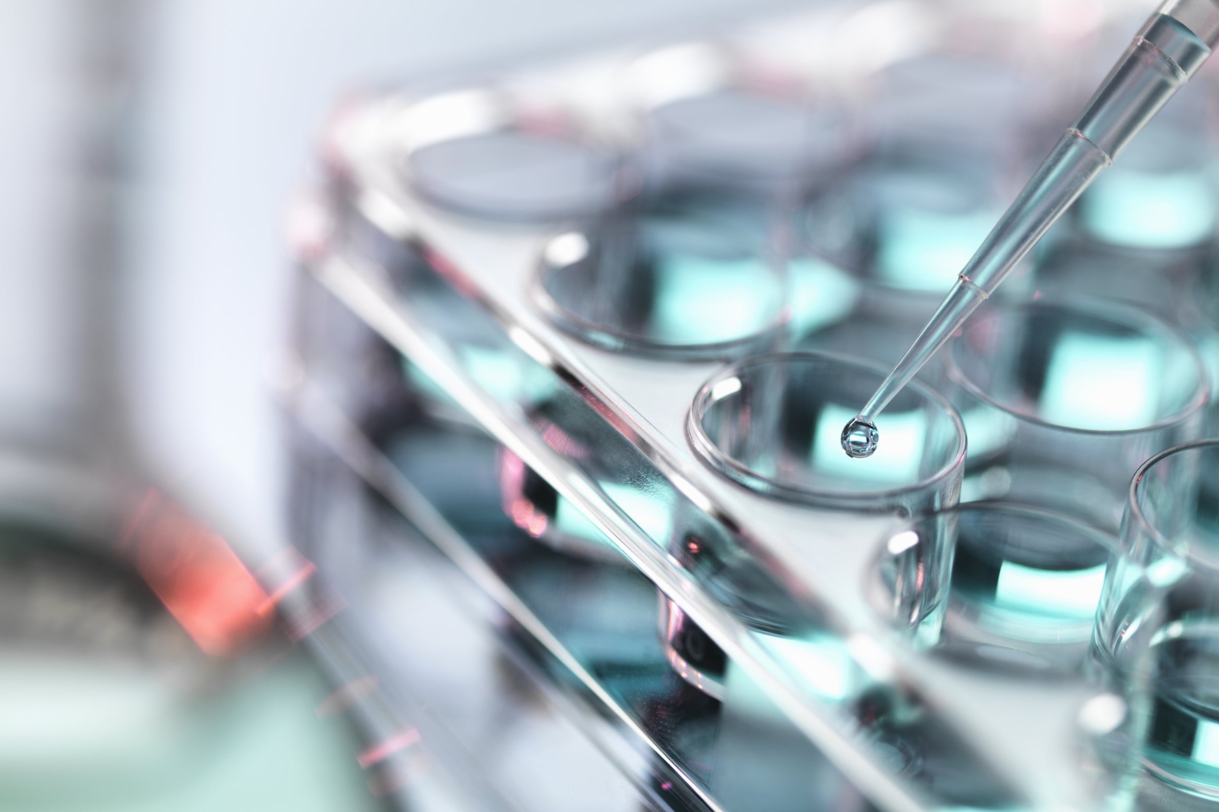 Pipetting sample into multiwell tray.