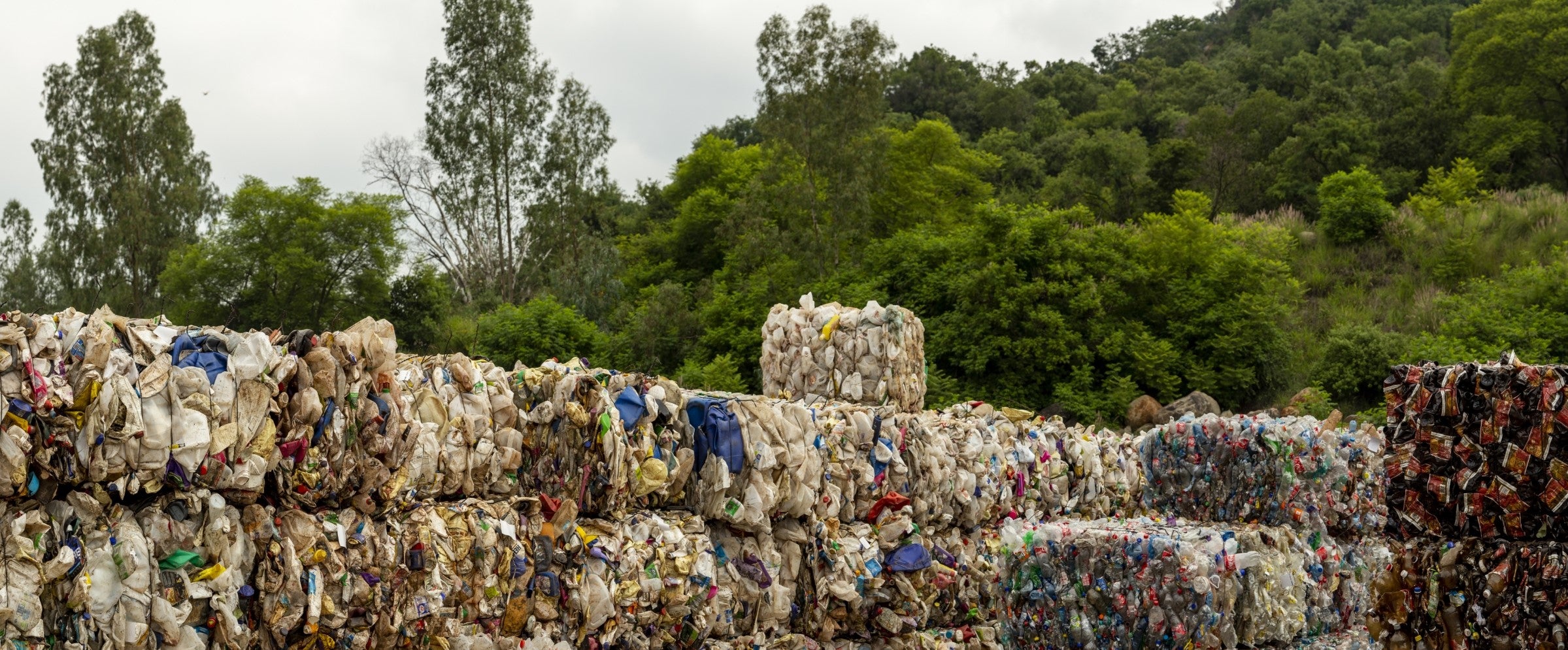 Compressed trash blocks and green.