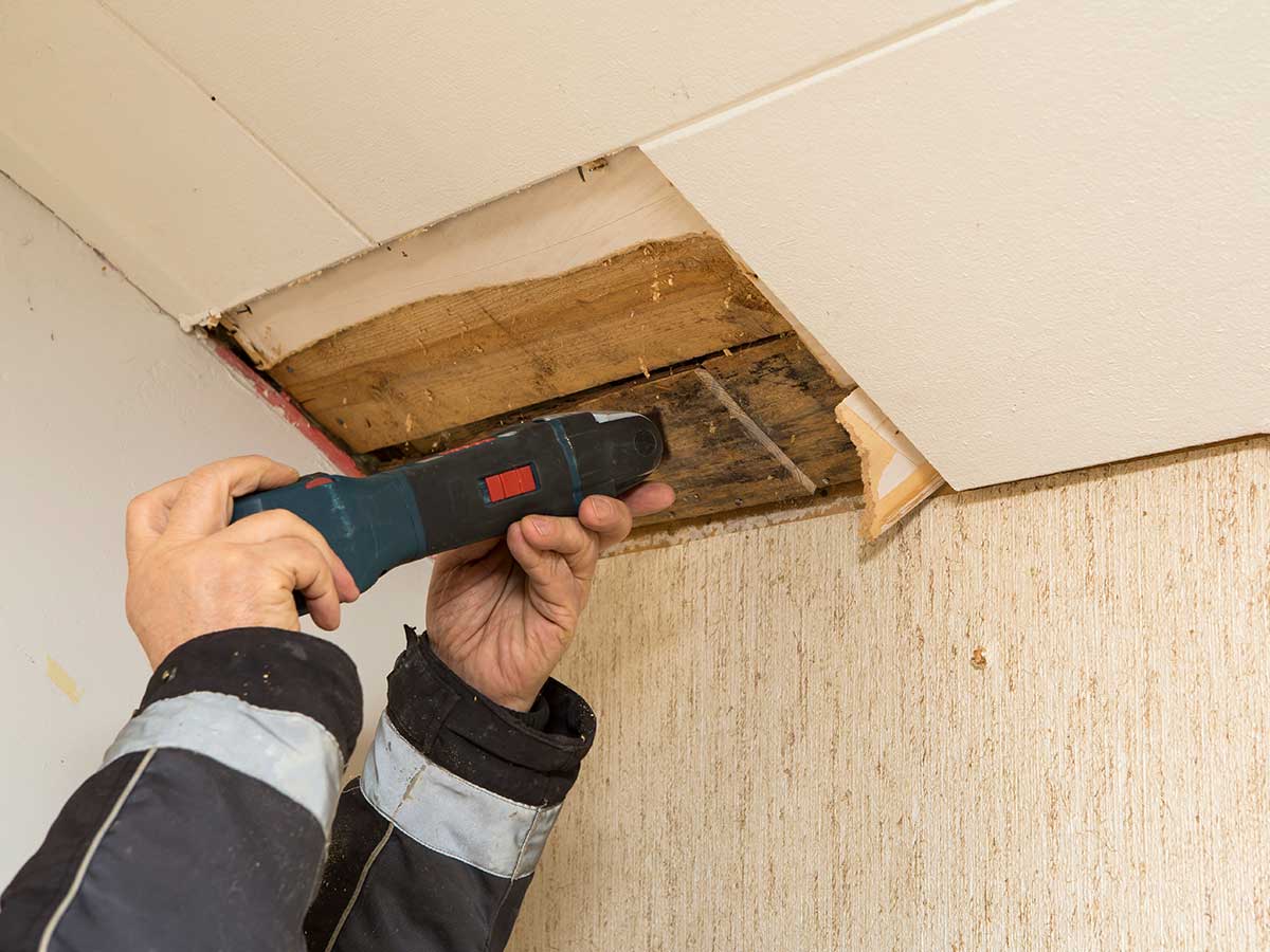 Person testing mold in ceiling