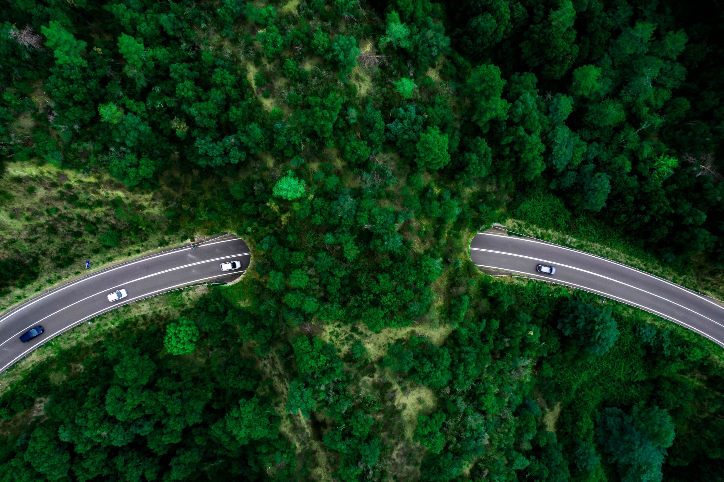 Aerial view of green bridge corridor for wildlife to cross highway safely.