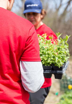 Two UL Solutions employees carrying little plants