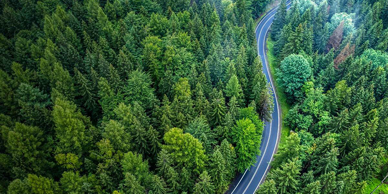 Overhead view of a road winding through a forest