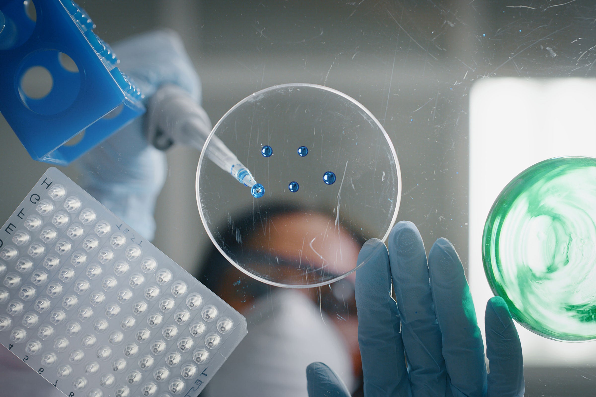 A scientist using a pipette to drop blue liquid in a petri dish
