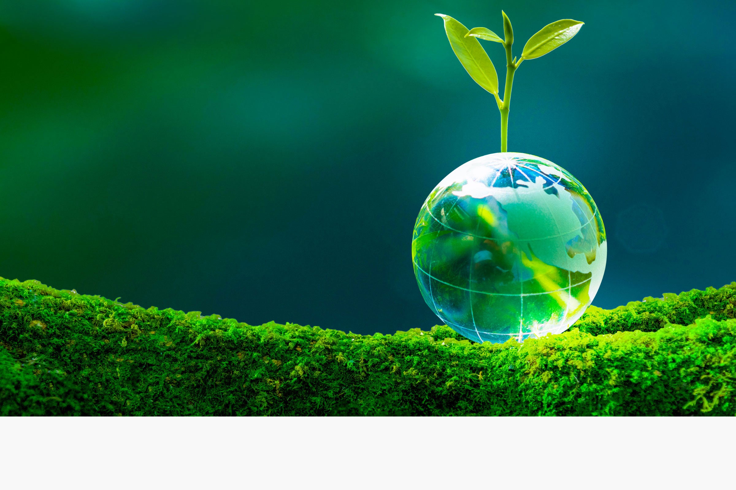 Green globe in nature