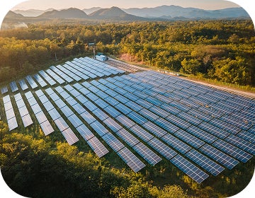 sustainability