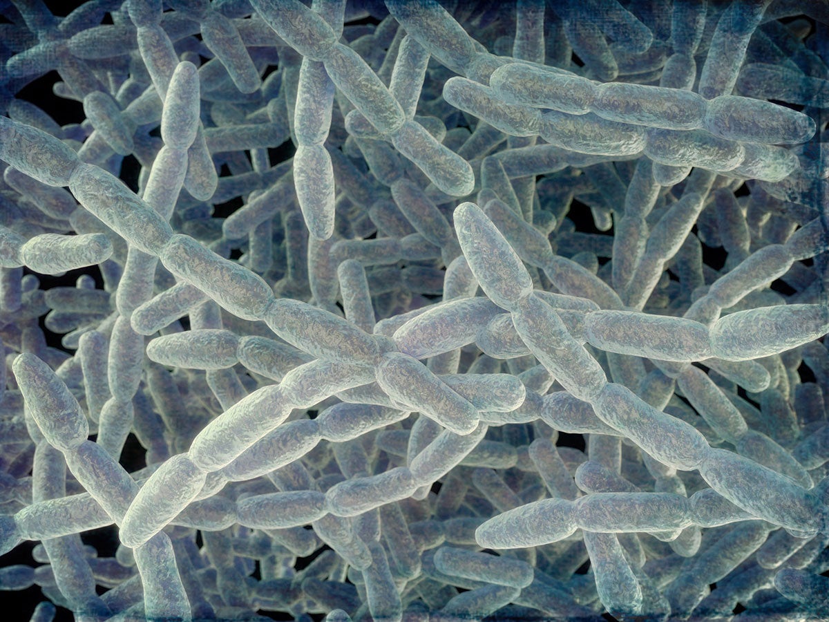 Microscopic view of legionella