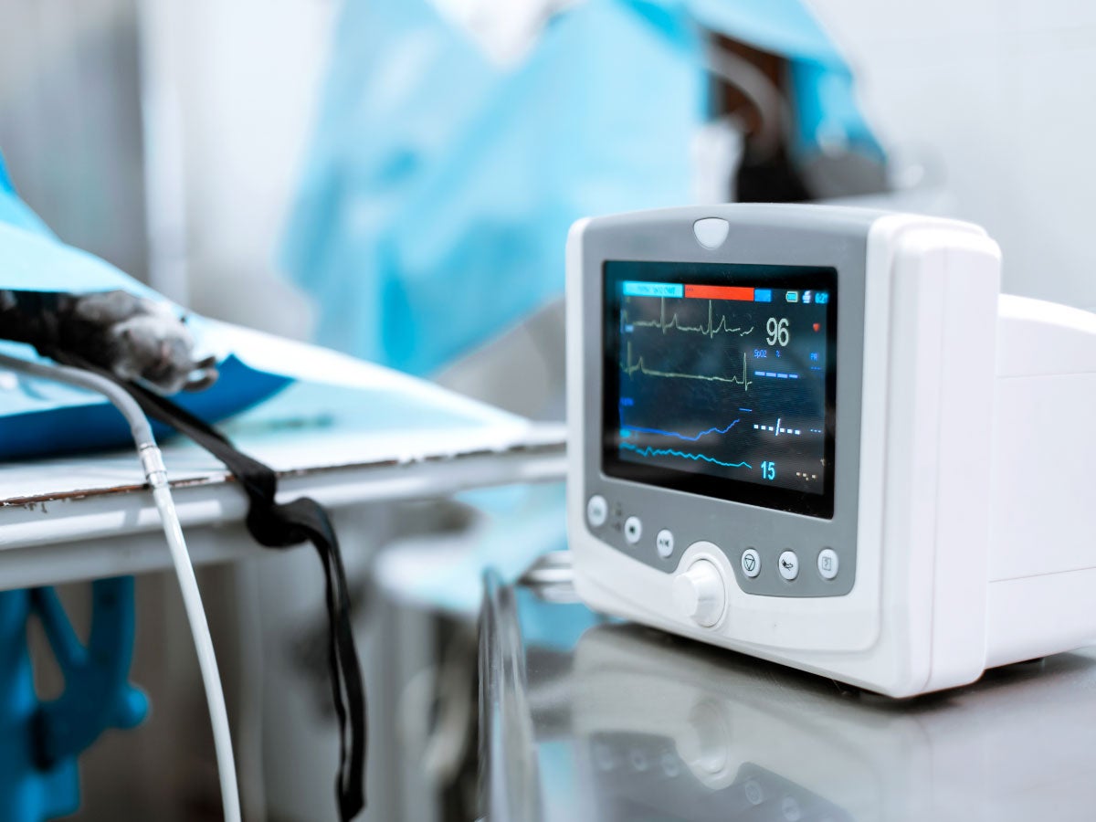 A heart rate monitor during surgery on a dog