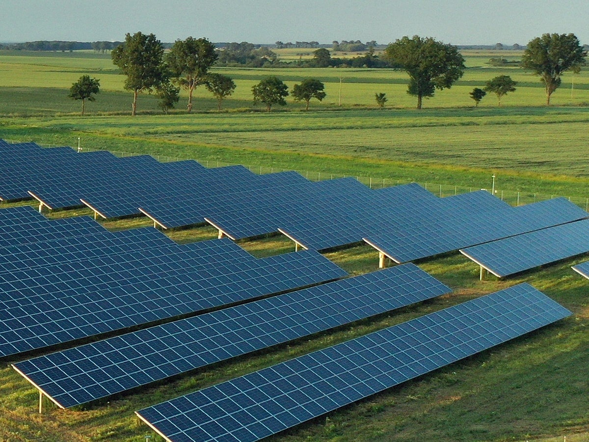 solar panels in a green field