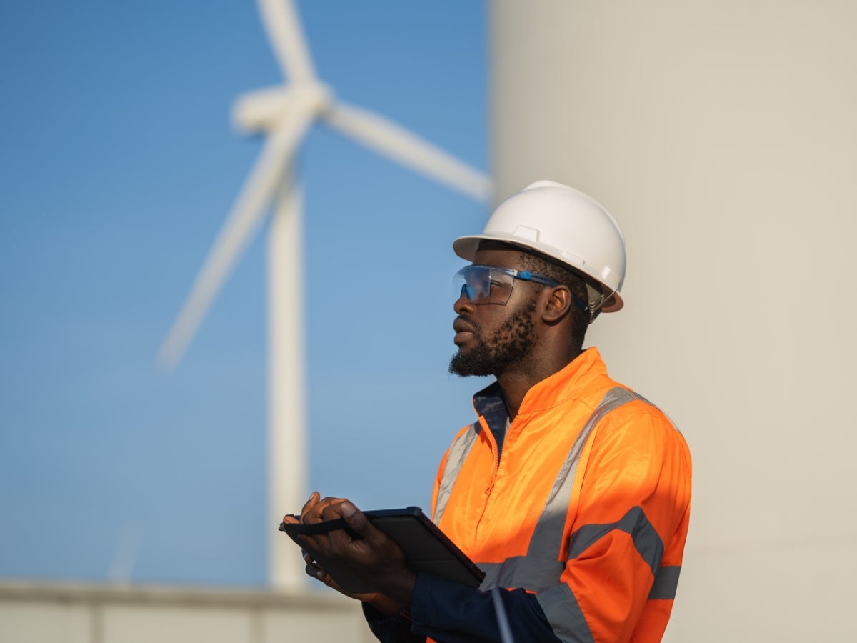 wind farm inspector
