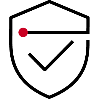 security shield icon