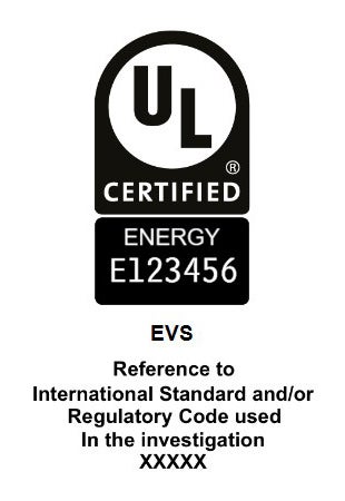 EVS International mark