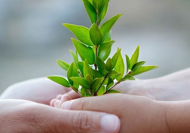 Working together to protect the environment through environmental claim validations