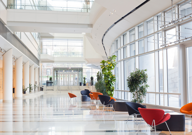 Public space, entailing an office environment, with furniture that supports needs for informal and working moments, social distancing.