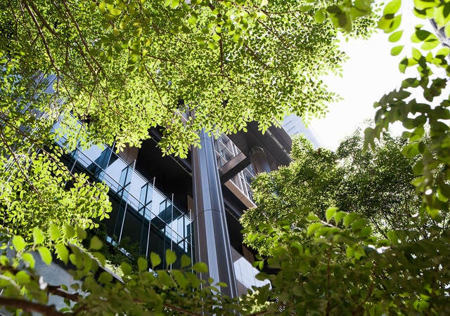 A view of the office building through green trees in front