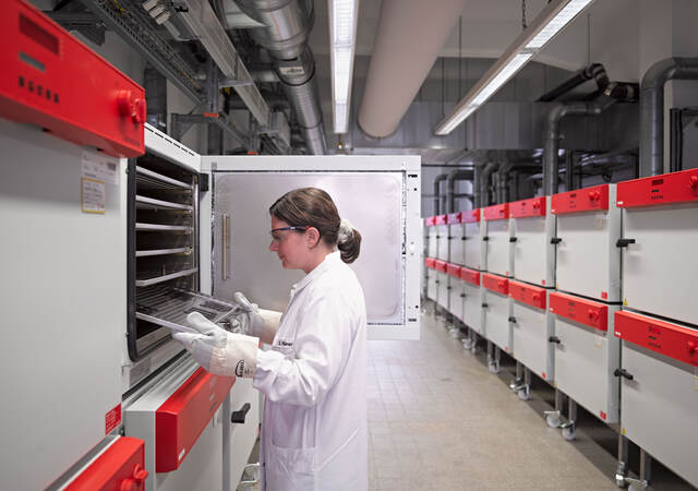 woman in laboratory