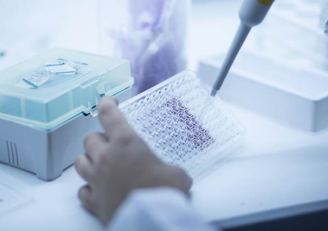 Cell culture in the lab