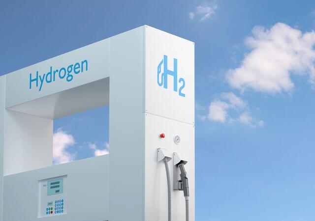 Hydrogen fuel pump