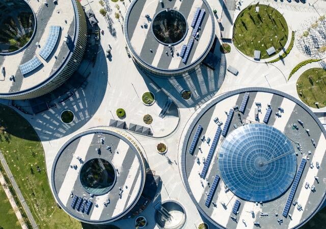 overhead view of plant