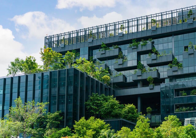 buildings with hanging gardens