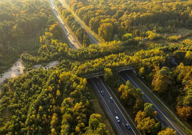 aerial landscape of a forest with a highway going through a tree covered overpass