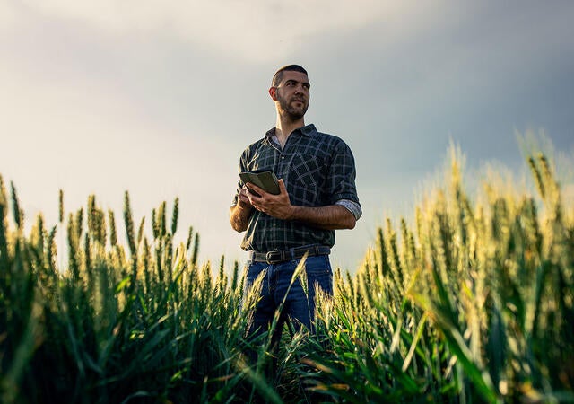 Farmer standing in a field while using a tablet