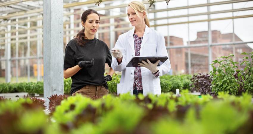 Women with plants