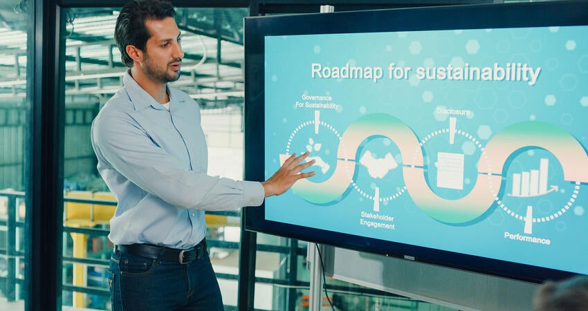 A person teaching the roadmap of sustainability