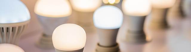 Different colors and shapes of lightbulbs on display
