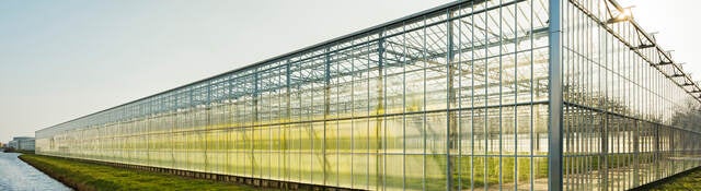 A greenhouse surrounded by green grass sits near the edge of the water on a clear day 