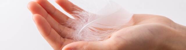 White feather on a woman hand