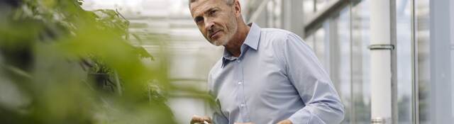 A horticultural professional with a digital tablet analyzes plants in a greenhouse.