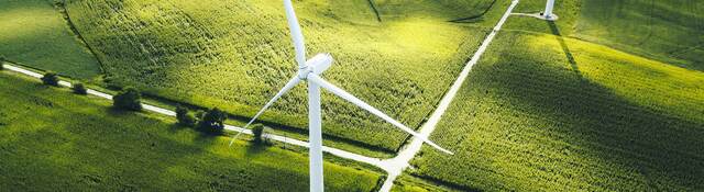 Wind turbines in a field