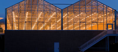 Indoor grow house at night