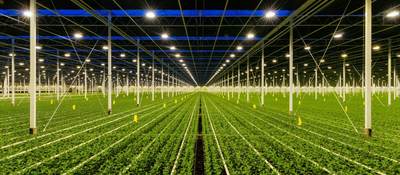 Horticultural lighting greenhouse lighting farming