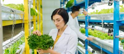 Techs measure plant growth, lit by a horticultural lighting system 