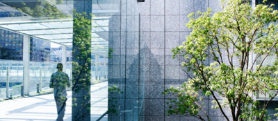 Silhouettes of a green tree and a business man walking on a passage through glass