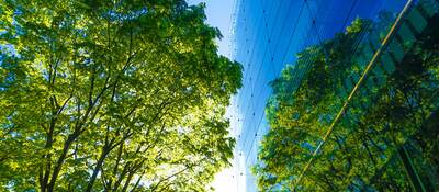 blue glass office building windows exterior with view of sky and trees