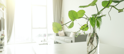 A bright, clean room in a home.