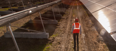 Employee inspecting solar panels