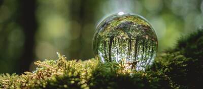 A crystal ball lies on a moss in the forest, reflecting the forest.