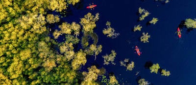 Tourists enjoying kayaking in nature 