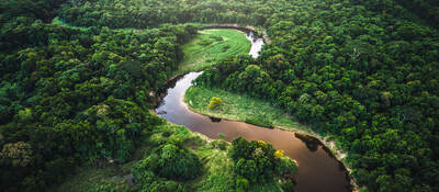 Atlantic Forest in Brazil