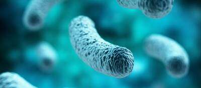 Image of legionella.