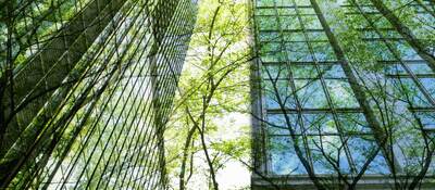Reflection of trees against the glass of skyscrapers