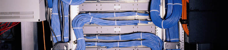 close-up image of blue telecommunications cable