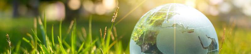 The world is in the grass of the green bokeh background.