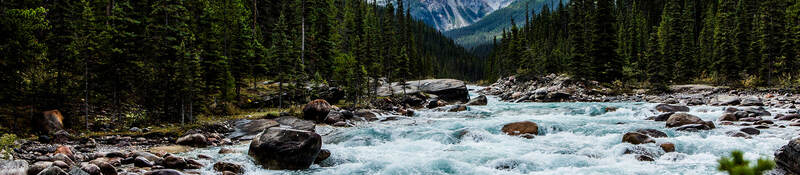 River, trees and mountains