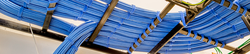 Nicely organized bundles of blue ethernet cable